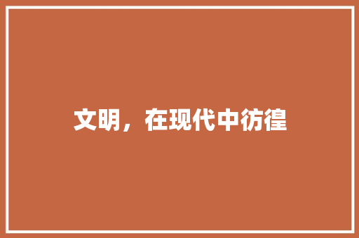 文明，在现代中彷徨