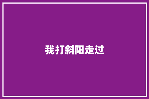 我打斜阳走过