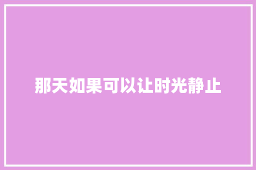 那天如果可以让时光静止