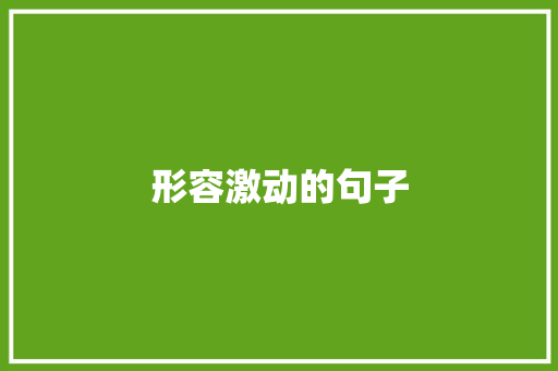 形容激动的句子