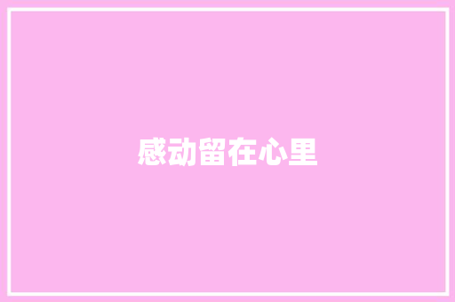 感动留在心里