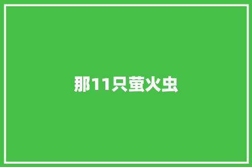 那11只萤火虫