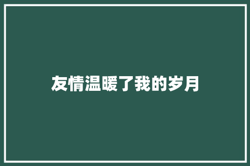 友情温暖了我的岁月