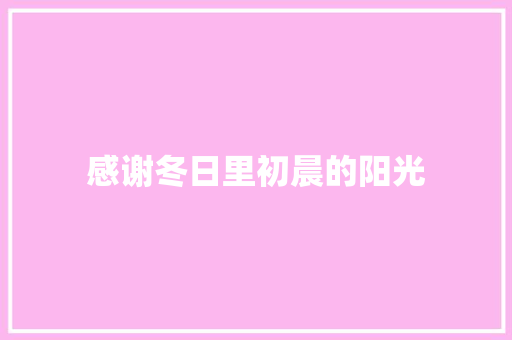 感谢冬日里初晨的阳光