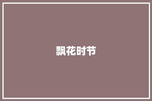 飘花时节