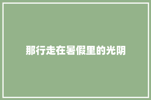 那行走在暑假里的光阴