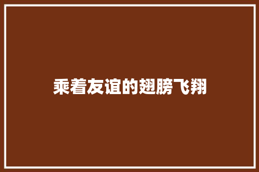 乘着友谊的翅膀飞翔