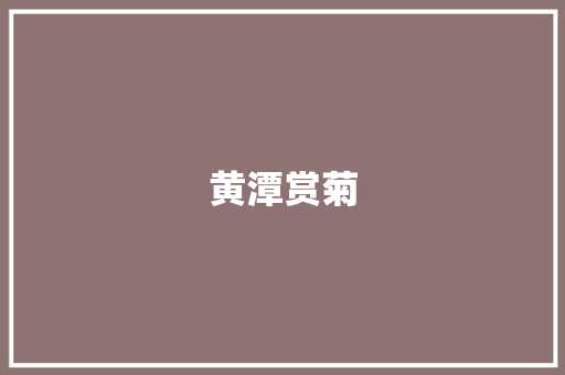 黄潭赏菊