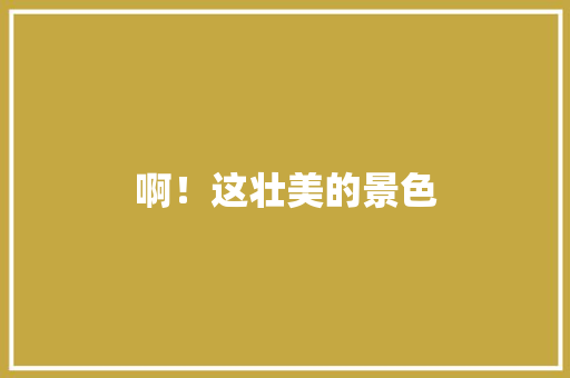 啊！这壮美的景色