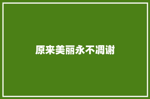 原来美丽永不凋谢