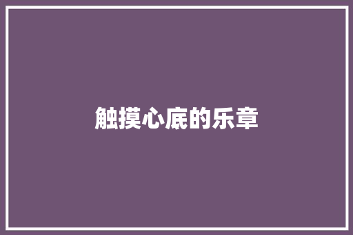 触摸心底的乐章
