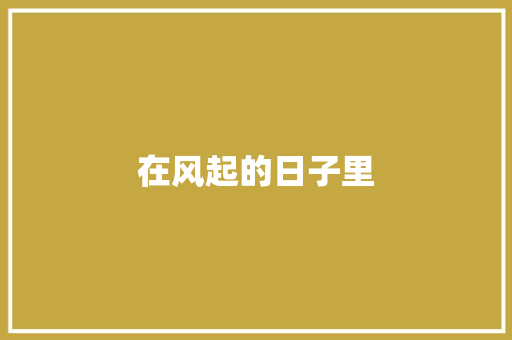 在风起的日子里