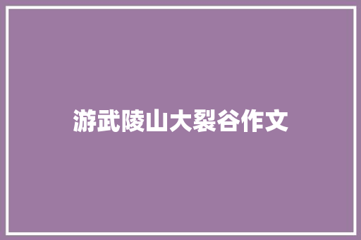 游武陵山大裂谷作文