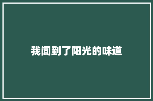 我闻到了阳光的味道