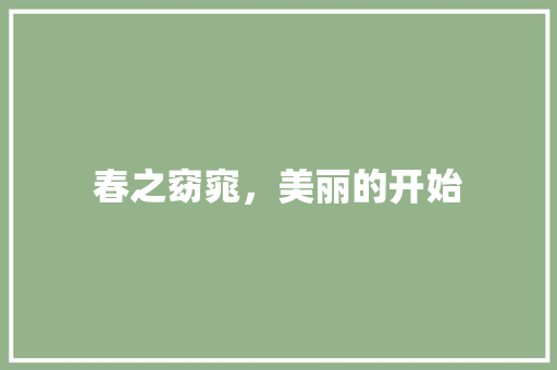 春之窈窕，美丽的开始