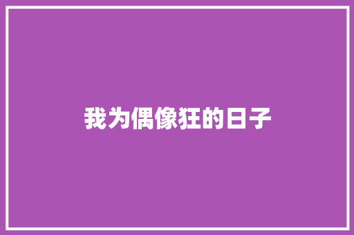 我为偶像狂的日子
