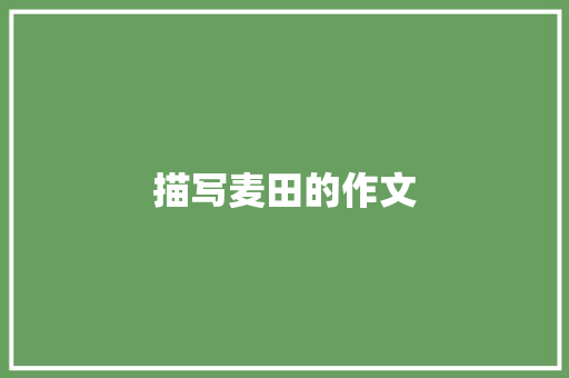 描写麦田的作文