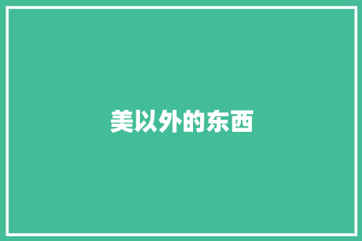 美以外的东西