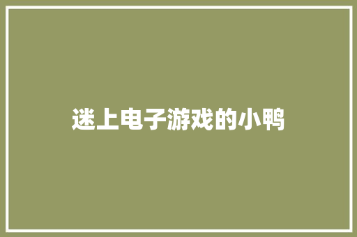 迷上电子游戏的小鸭