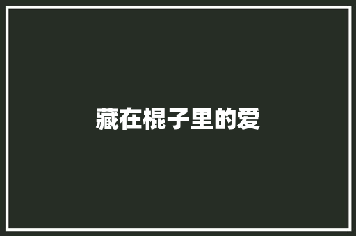 藏在棍子里的爱