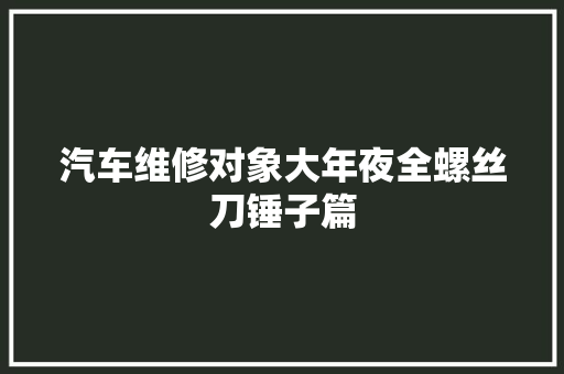 汽车维修对象大年夜全螺丝刀锤子篇