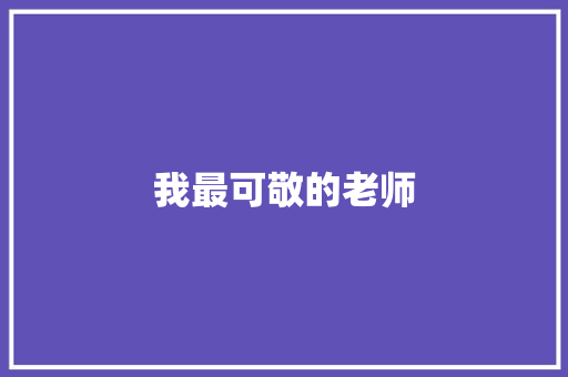 我最可敬的老师