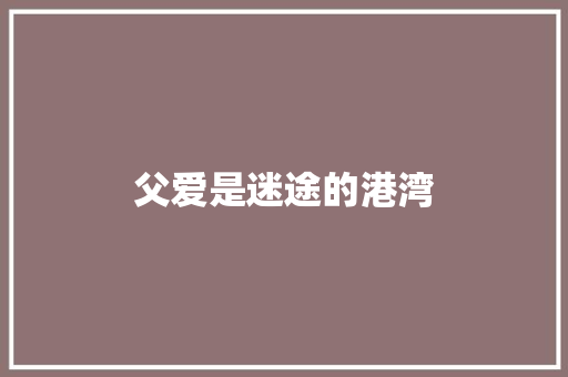 父爱是迷途的港湾