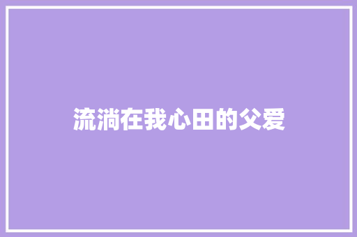 流淌在我心田的父爱