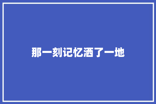 那一刻记忆洒了一地