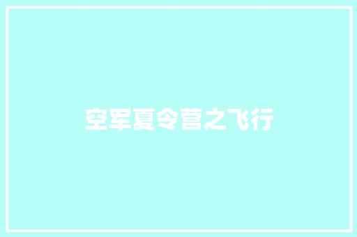 空军夏令营之飞行