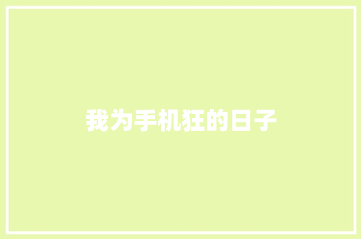 我为手机狂的日子