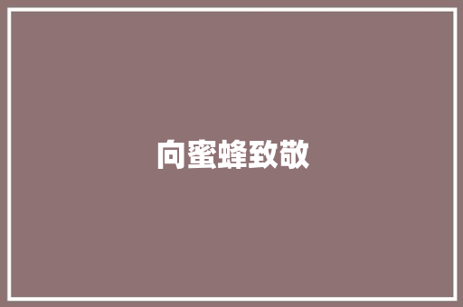 向蜜蜂致敬
