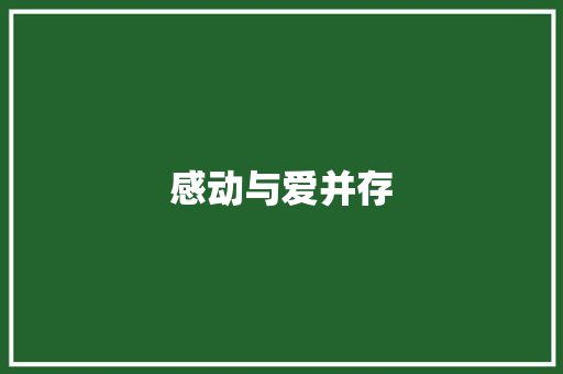感动与爱并存
