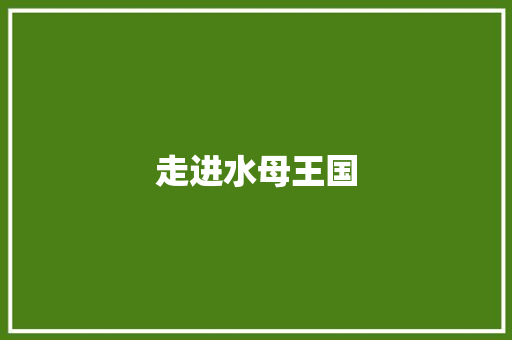 走进水母王国
