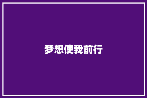 梦想使我前行