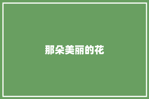 那朵美丽的花