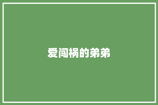 爱闯祸的弟弟