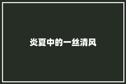 炎夏中的一丝清风