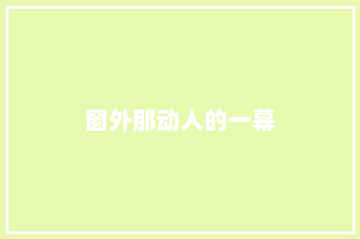 窗外那动人的一幕