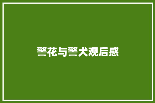 警花与警犬观后感