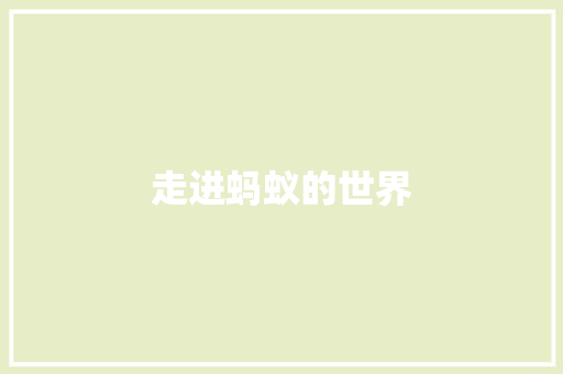 走进蚂蚁的世界