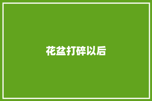花盆打碎以后