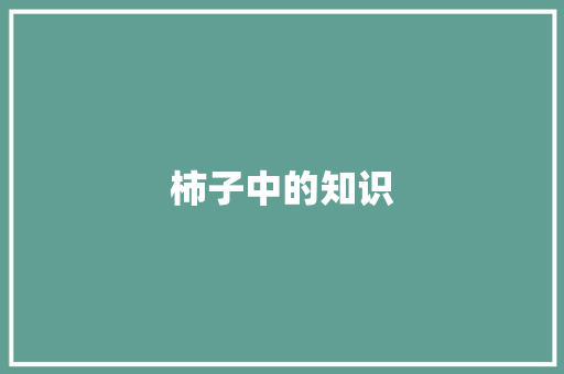 柿子中的知识