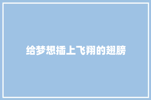 给梦想插上飞翔的翅膀