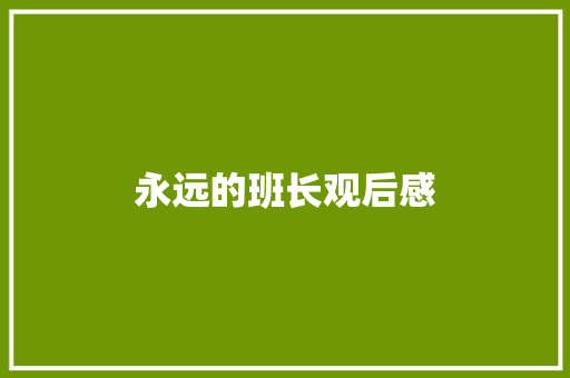 永远的班长观后感