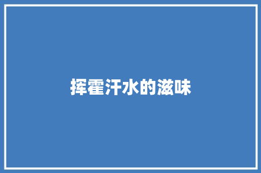 挥霍汗水的滋味
