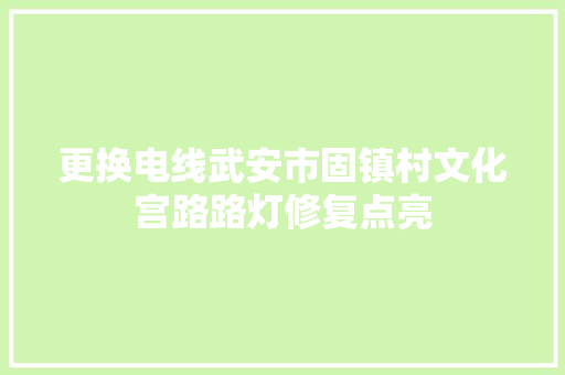 更换电线武安市固镇村文化宫路路灯修复点亮