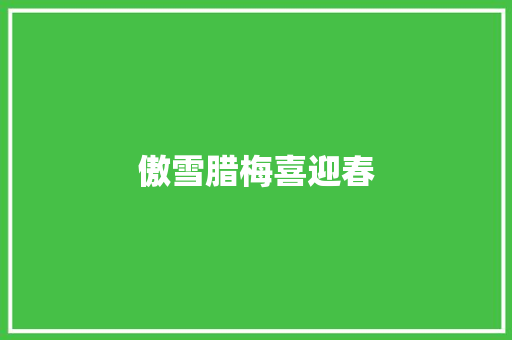 傲雪腊梅喜迎春