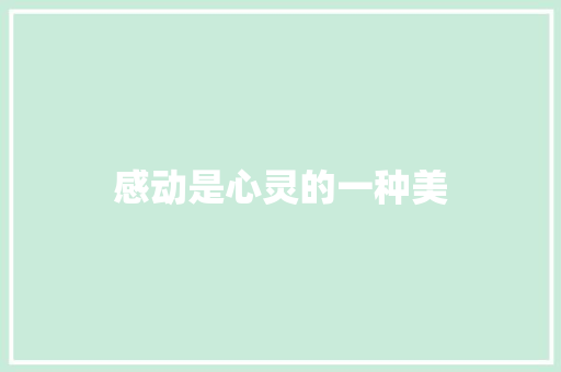 感动是心灵的一种美