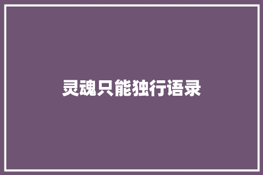 灵魂只能独行语录